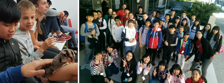 gold-coast-junior-camp