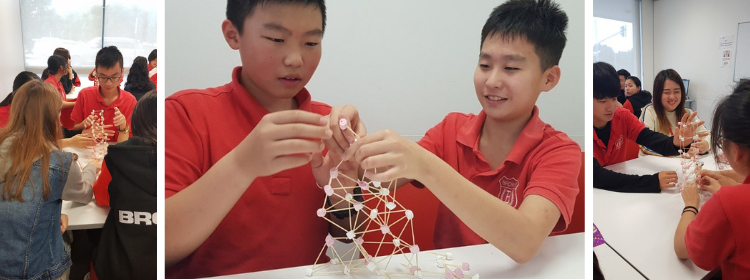 STEM based activity in HSP