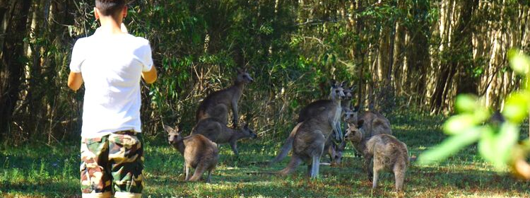 Coombabah, Gold Coast, QLD