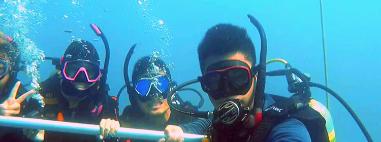 International student finds employment in Queensland