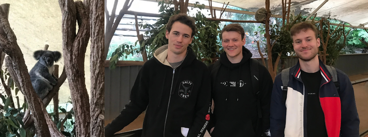 Lone Pine Koala Sanctuary