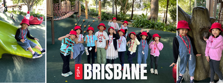 Study and explore Brisbane